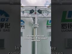 Generator tlenu Luoming - Komponenty rdzeniowe i projekt systemu